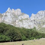 Pascoli boschi e rupi calcaree (foto F. Ceragioli)